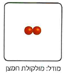 (בספר 2 איורים, היעזר במנחה)